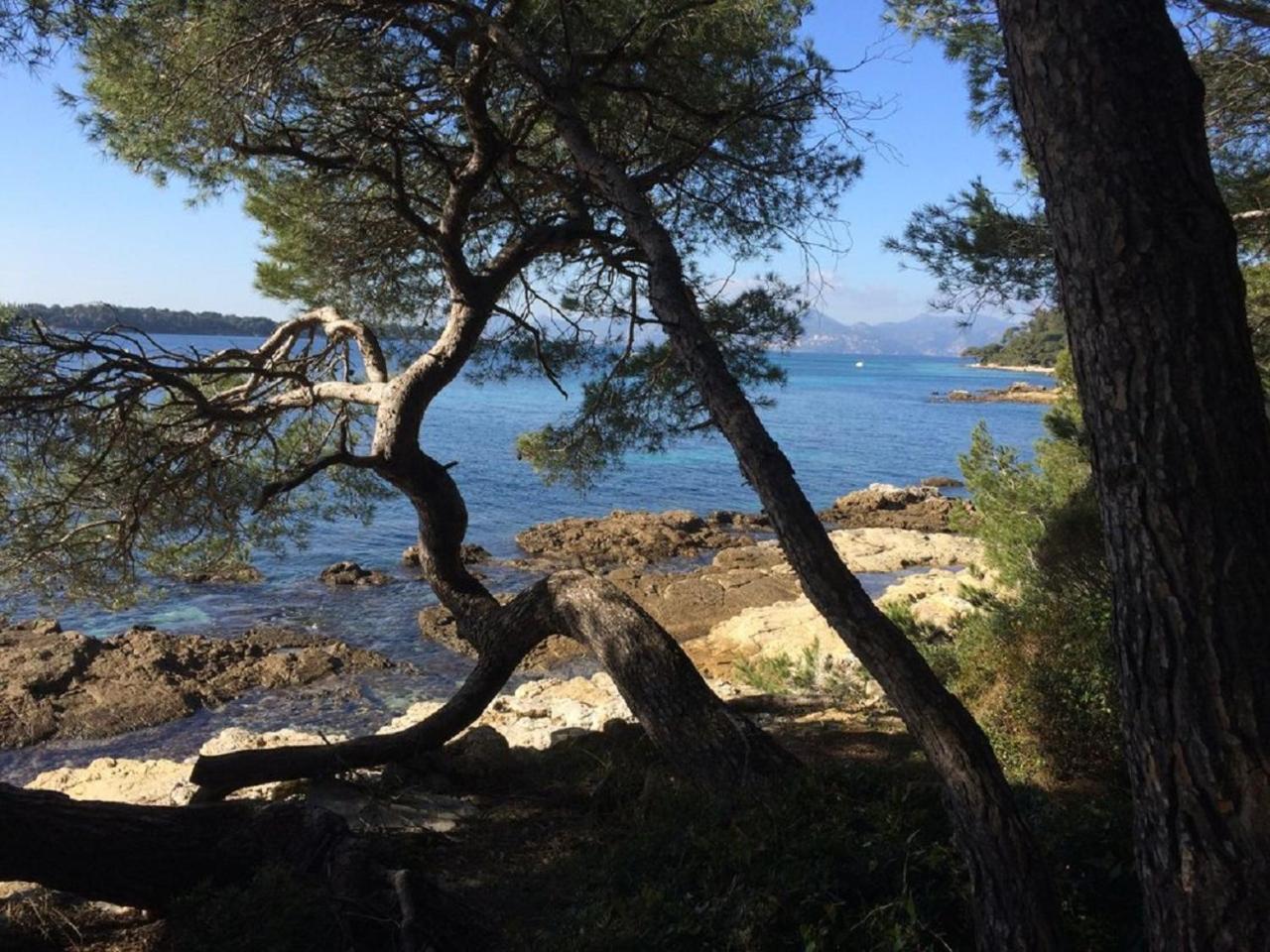 Cannes Design Vue Mer Εξωτερικό φωτογραφία